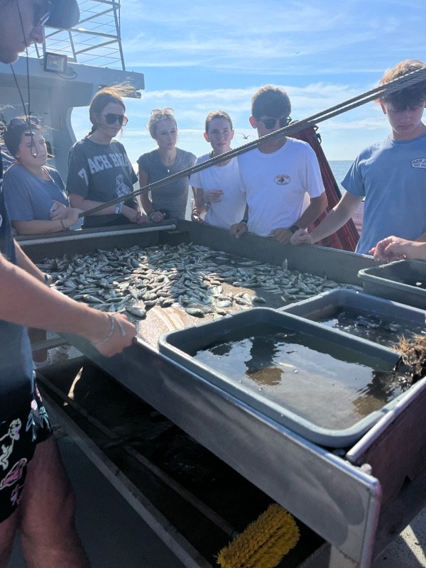 Marine biology students on field visit